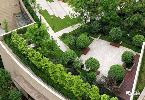 屋頂園林景觀設(shè)計(jì) 建筑工程中的空中綠洲